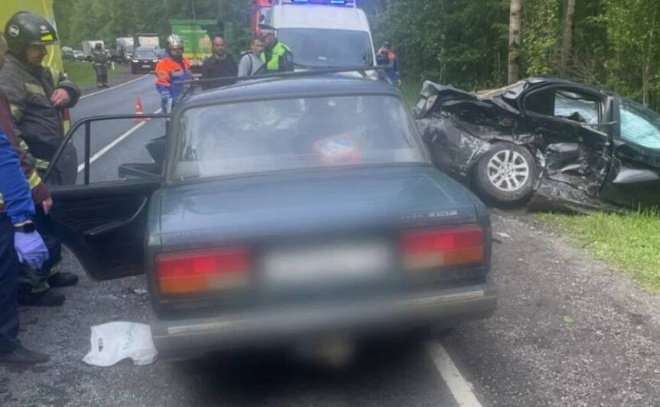    © Пресс-служба ГУ МВД России по Петербургу и Ленобласти