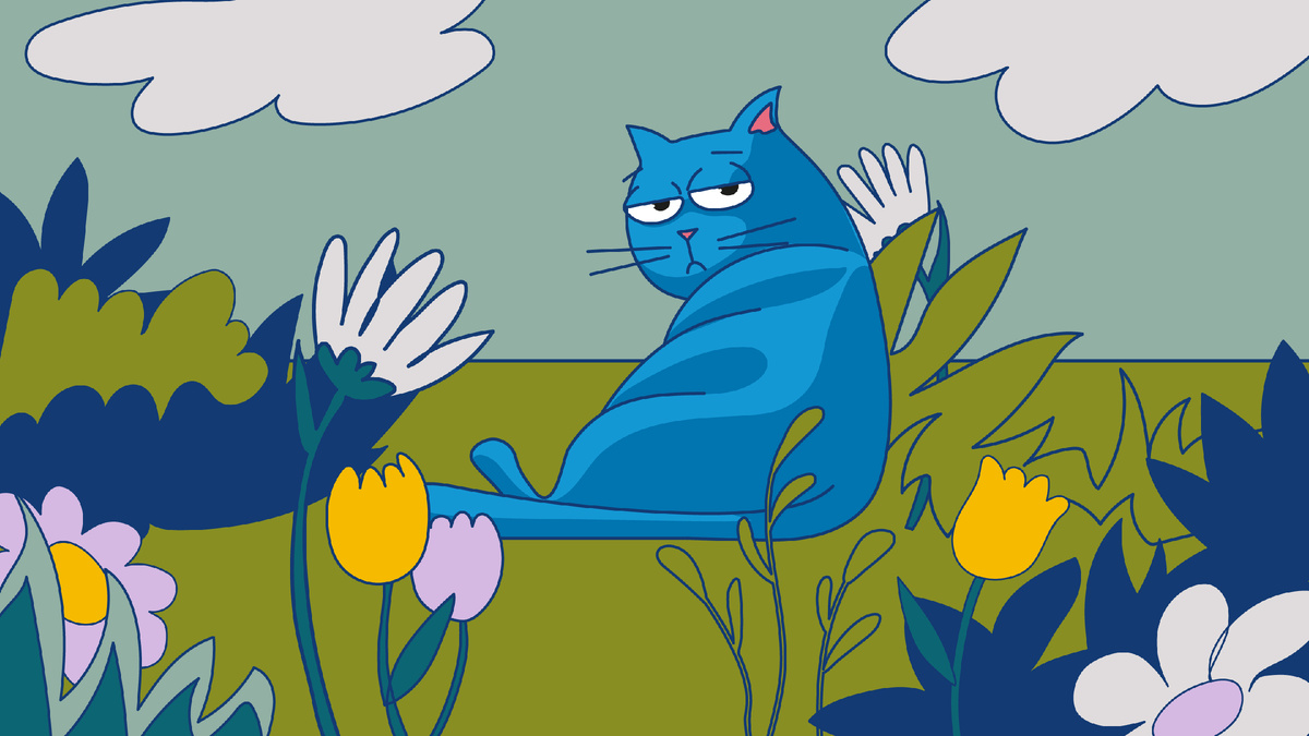 Одинокий Котеус заслуживает ваш лайк💙