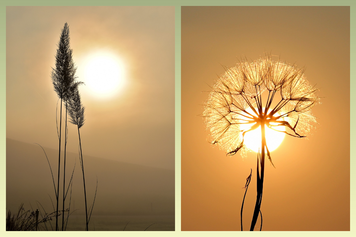 pixabay.com