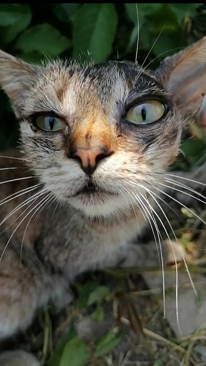 Такой ее нашла.