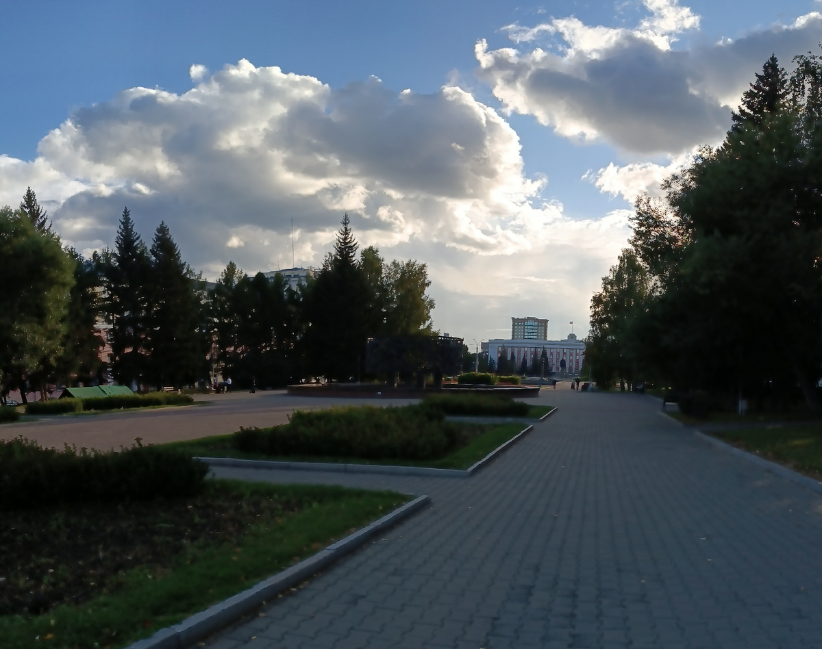 Где-то на просторах моего города. Фотография автора, июнь 2025 года. 