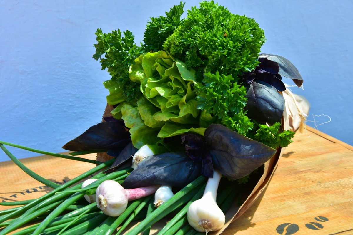 Фото: Гала Амарандо