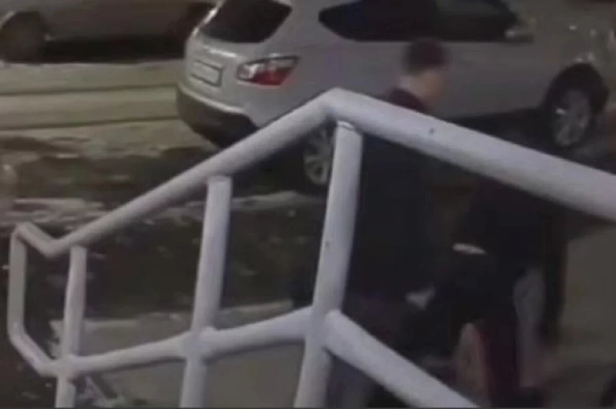    Момент нападения попал на камеры.