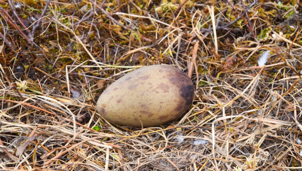    Фото: Минприроды РФ