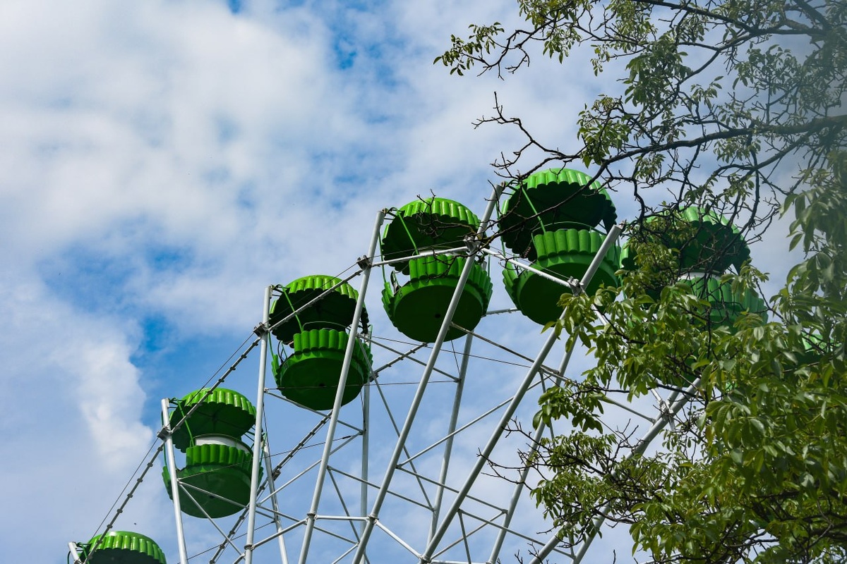 Фото: Гала Амарандо