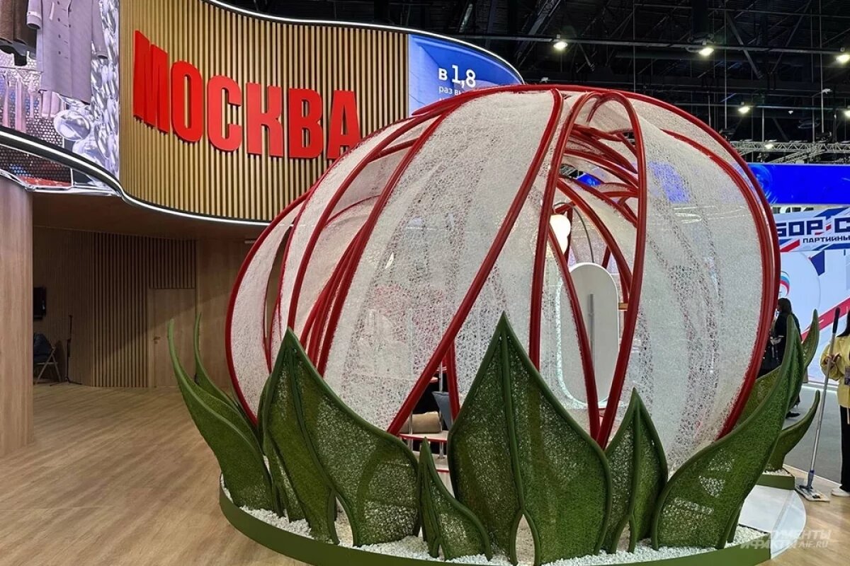    Новые поезда и беспилотные катера.