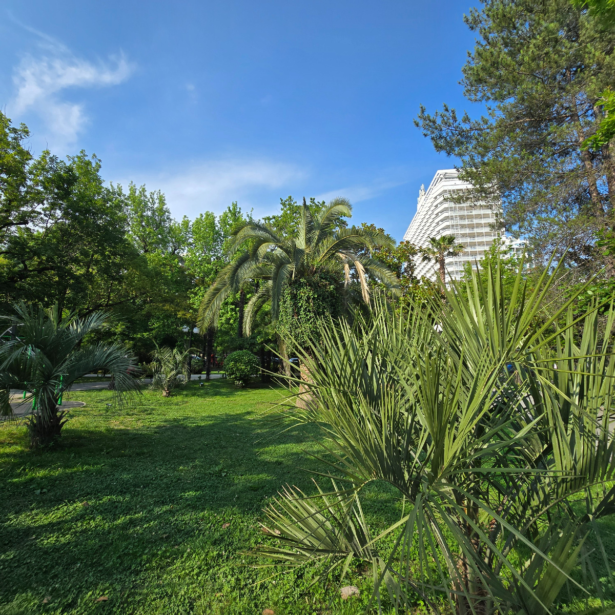 Парк им. М. В. Фрунзе