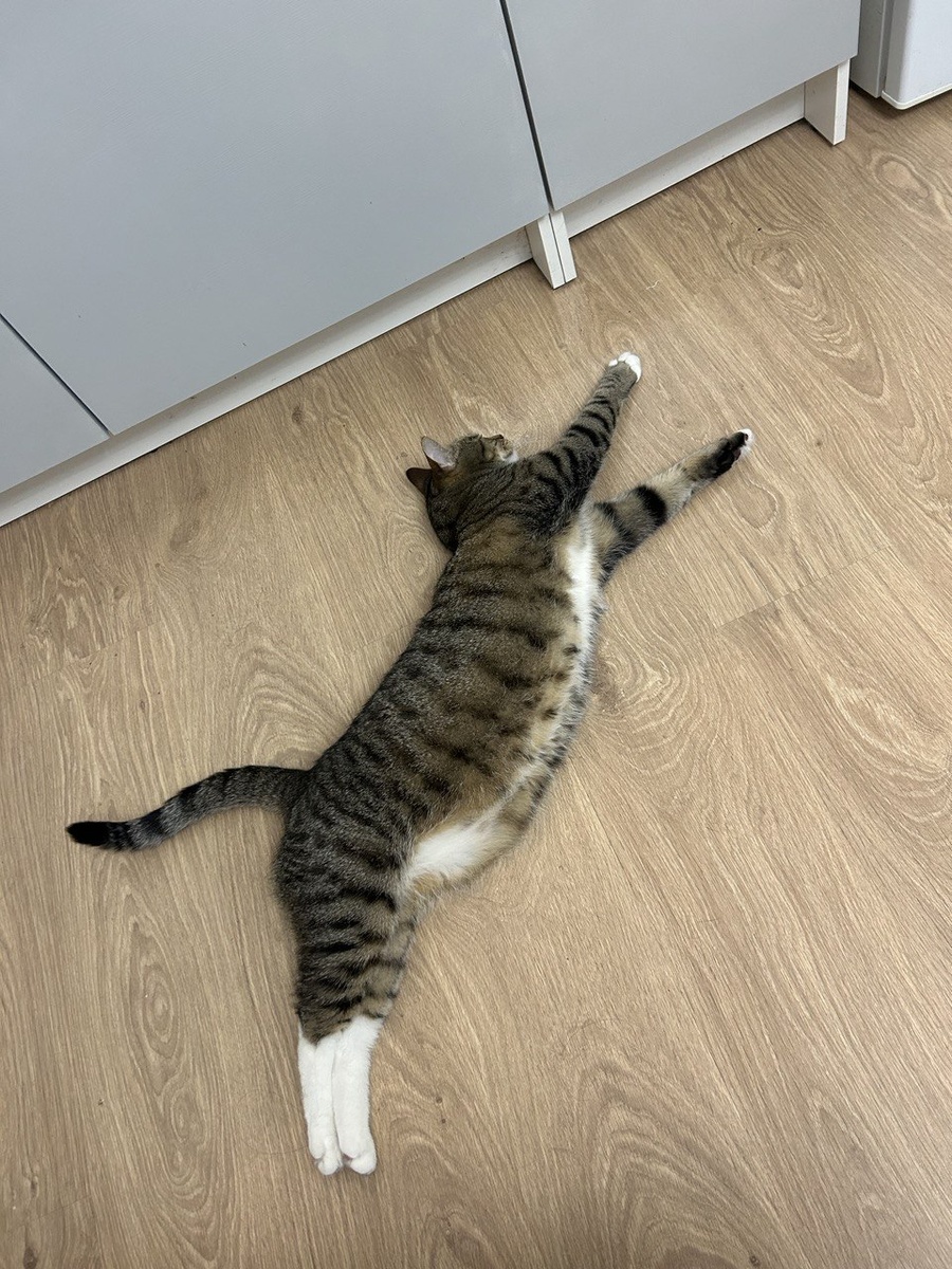 Состояние утром, когда лег спать после 23:00