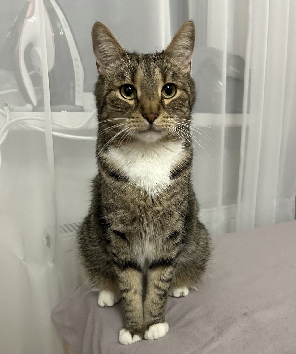 Состояние утром, когда лег спать до 23:00