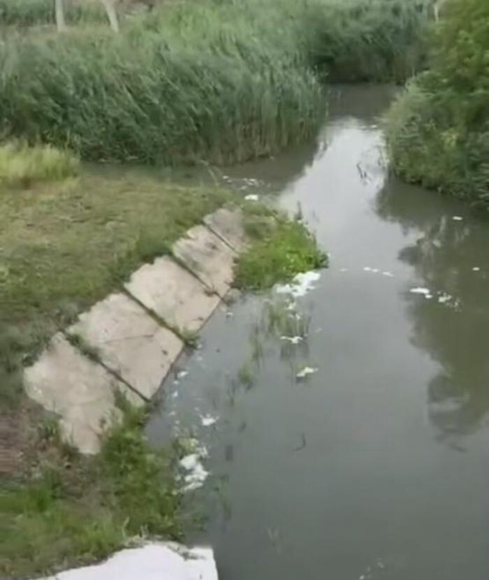 Источник фото: Соцсети