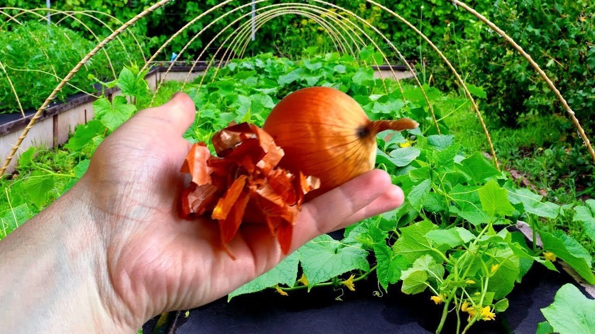 Так же делал и для огурцов