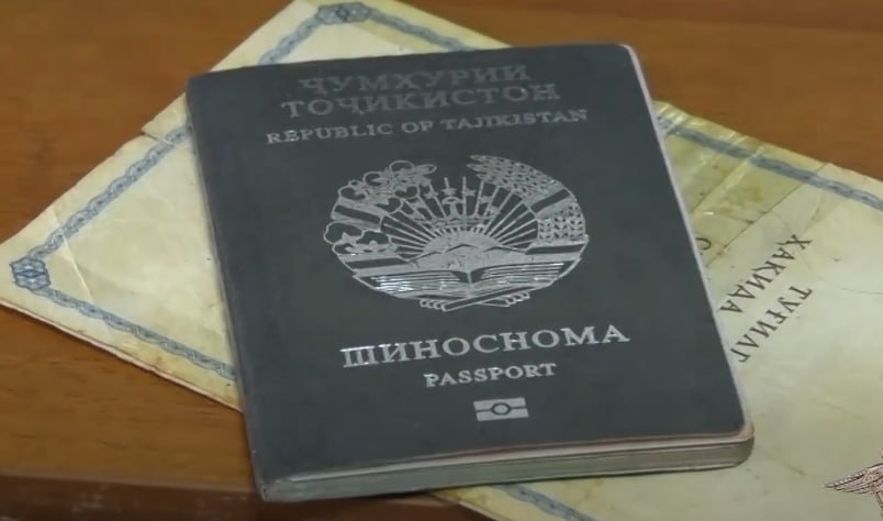 Фото: Prt Scr rutube.ru / МВД МЕДИА