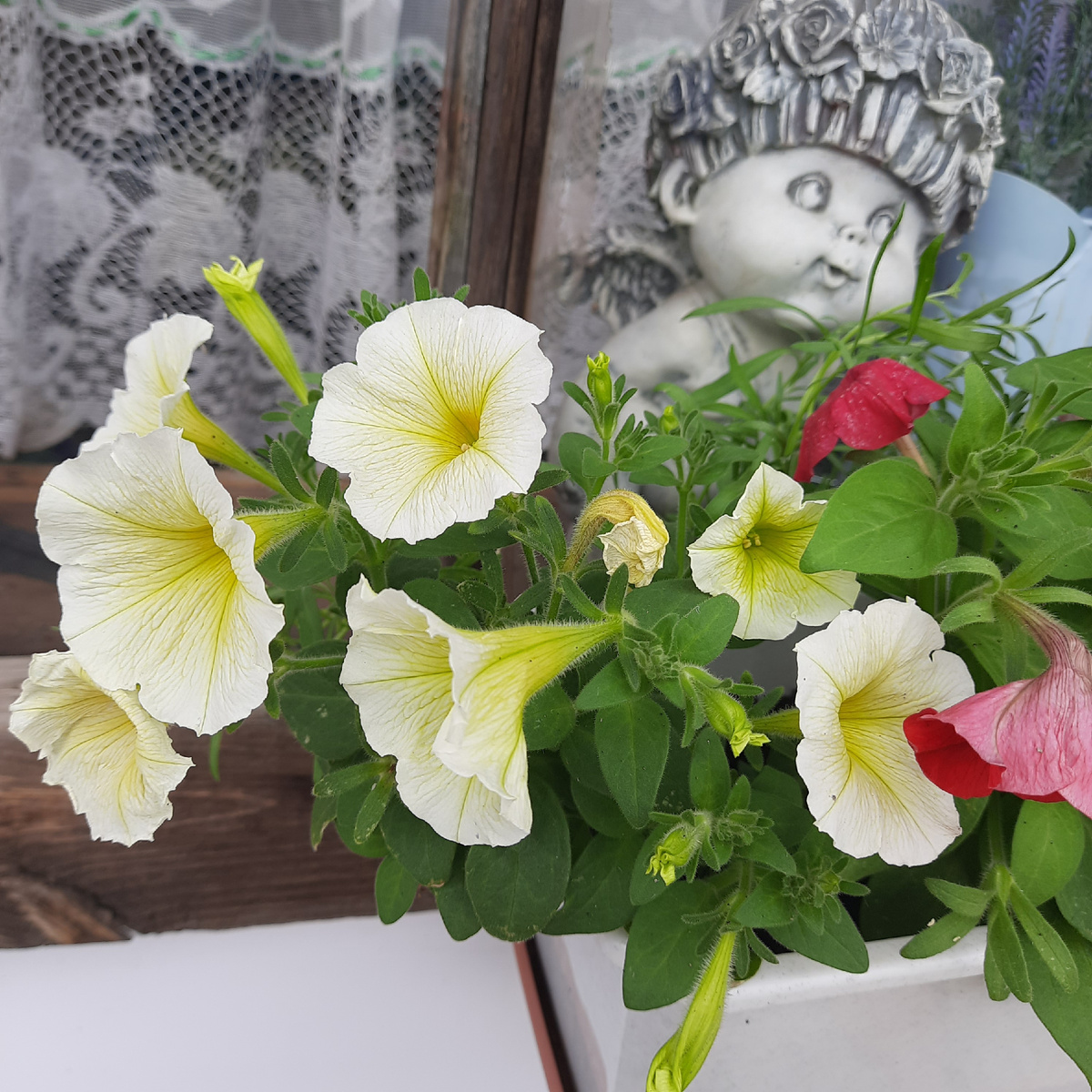 Береника и Марика. Отличные модели)))