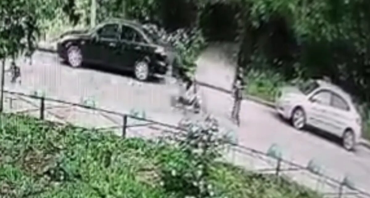    Фото: стоп-кадр видео от пресс-службы СУ СК России по Ленобласти