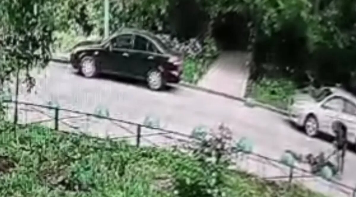    Фото: стоп-кадр видео от пресс-службы СУ СК России по Ленобласти