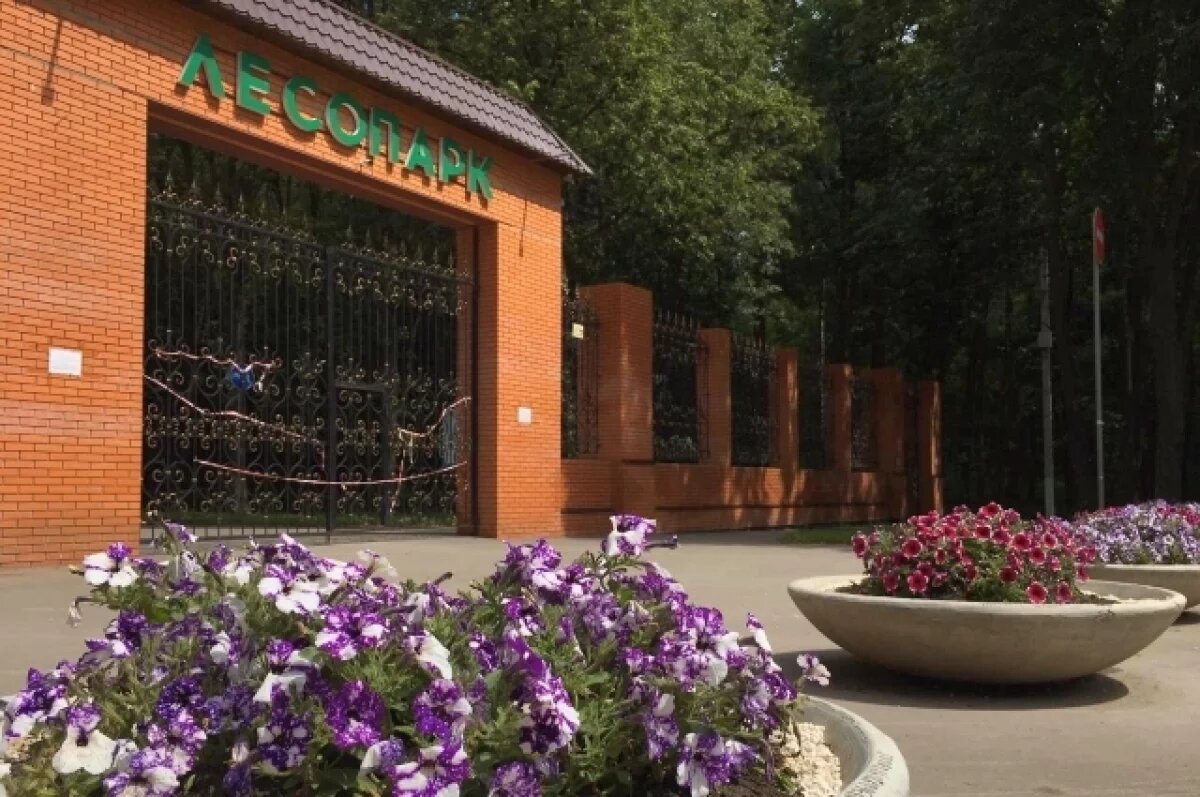    В Рязани в число лидеров голосования по благоустройству вошел Лесопарк
