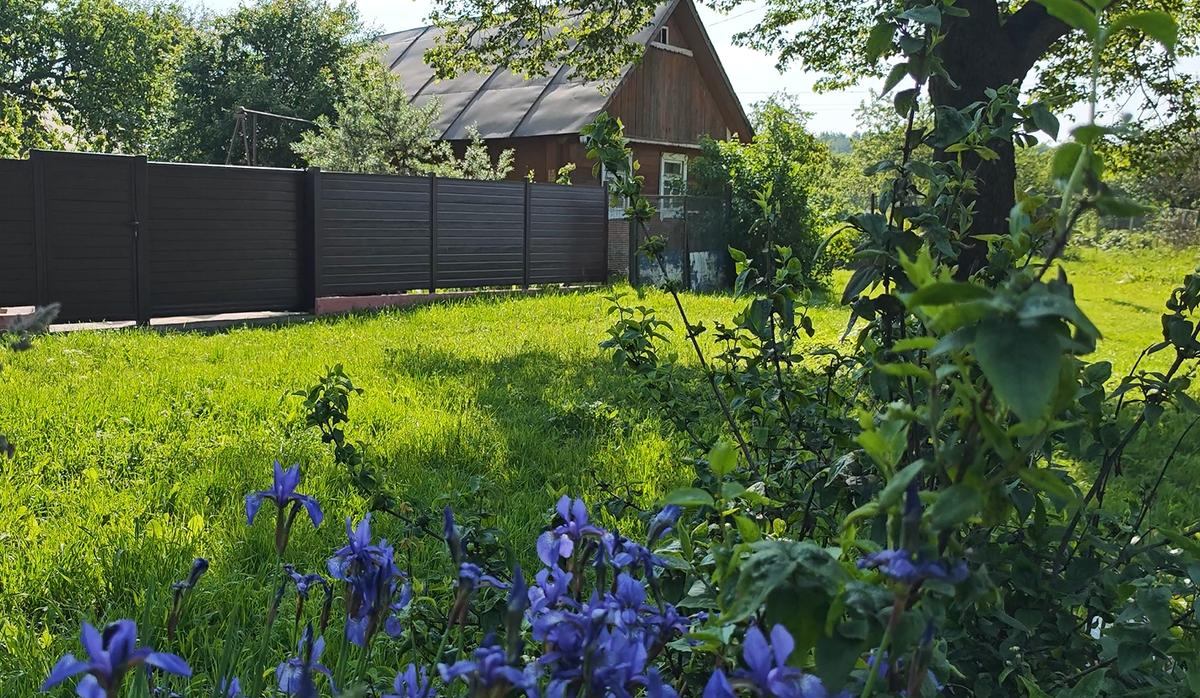 В белорусской деревне Романы. Фото автора
