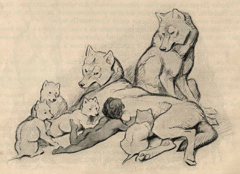 Маугли - выдуманное слово и несуществующая книга 