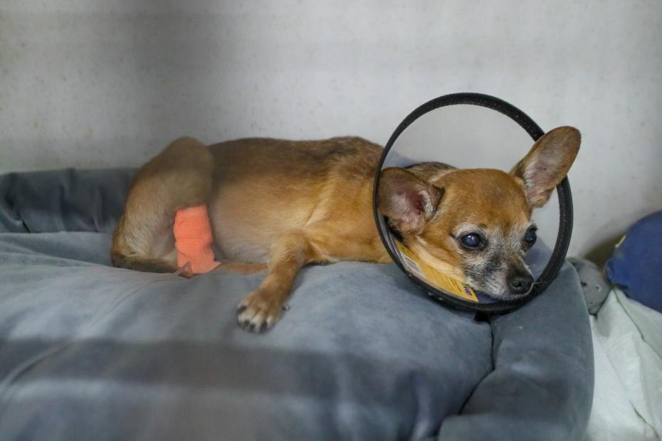    Сергей Петров/NEWS.ru