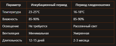 Условия выращивания шампиньонов