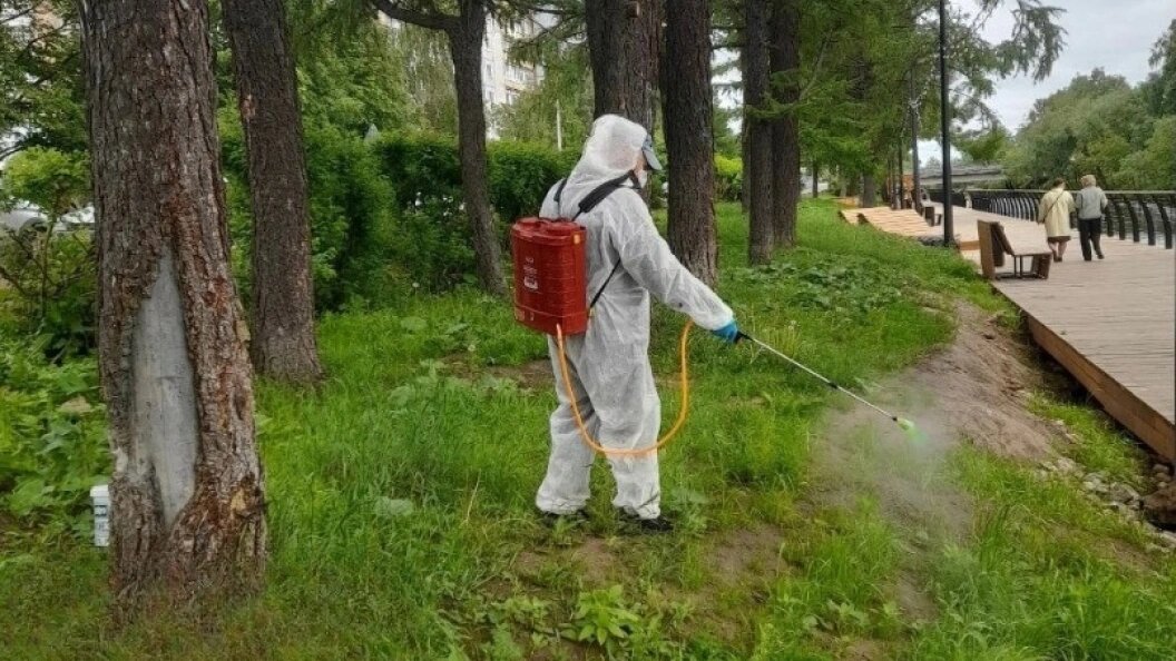    Фото: Администрация Архангельска