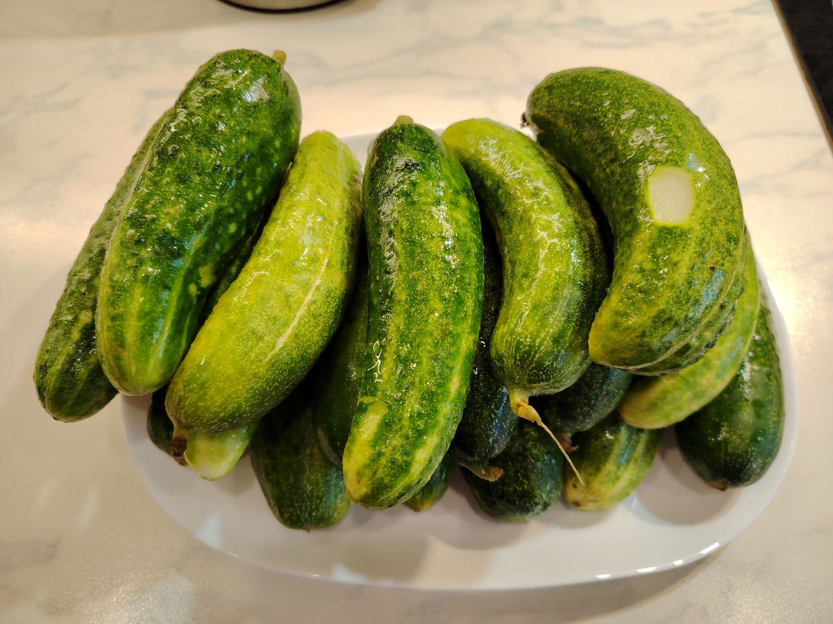 Фото автора канала