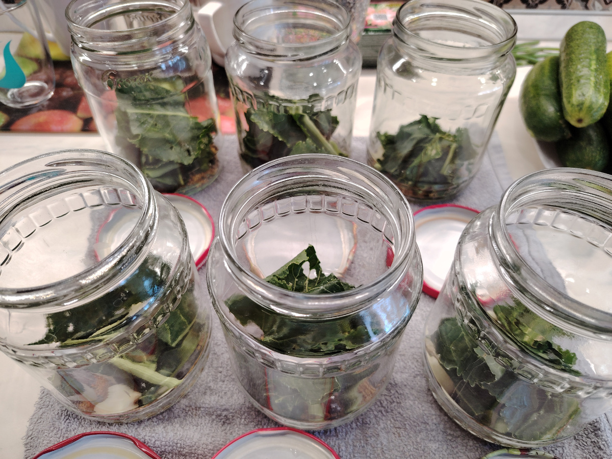 Фото автора канала