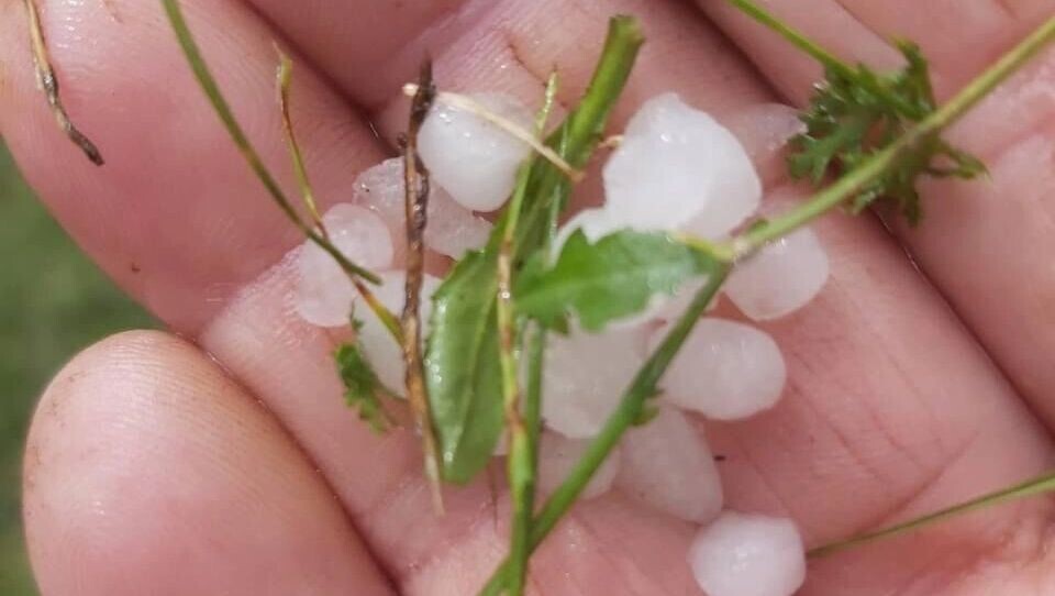     Источник: t.me/belgorod01