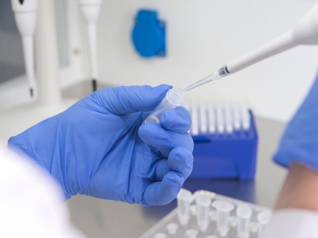    Фото: 123RF/vigenm