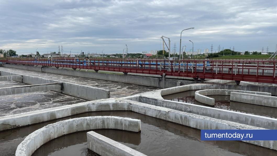  Фото Сергея Куликова