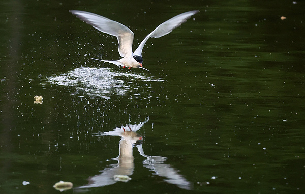 Валерий Шарифулин/ТАСС