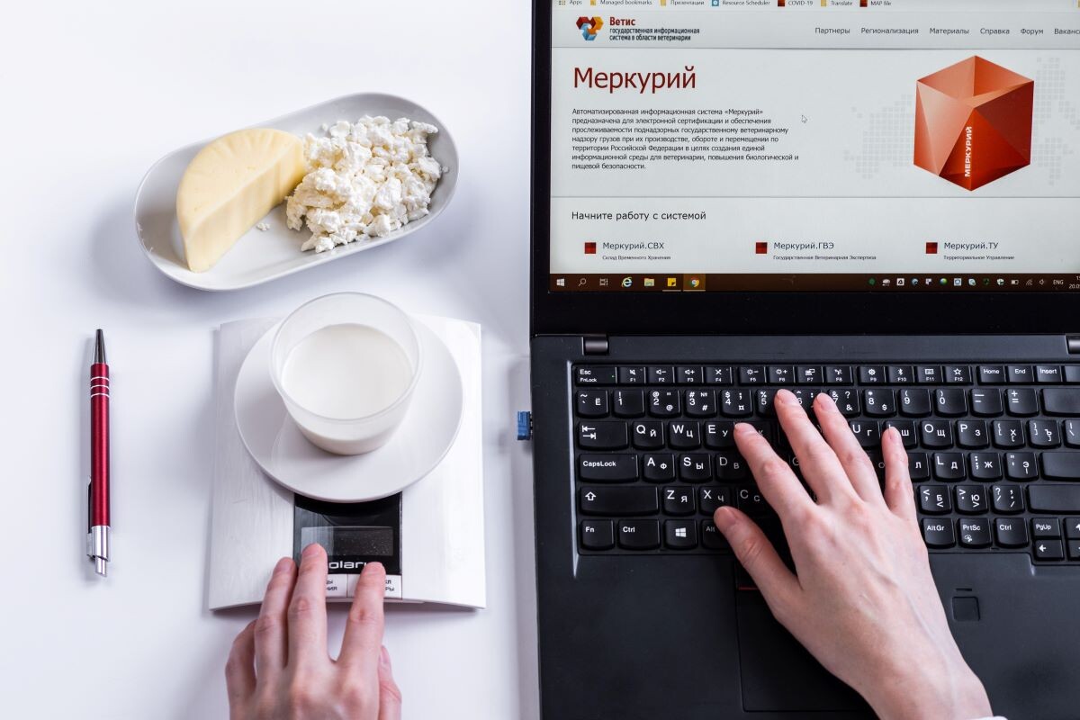 Фото: Александр Плонский / «Агроэксперт»