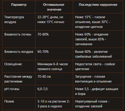 Выращивание кабачков