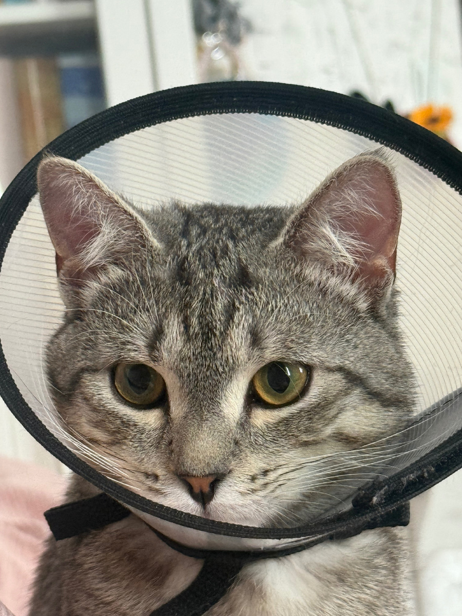 Вася в скафандре! 