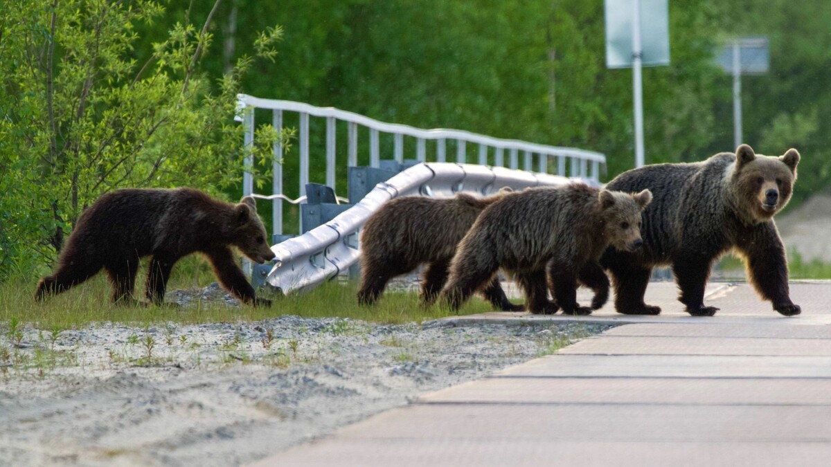    Фото предоставлено Викторией Ким