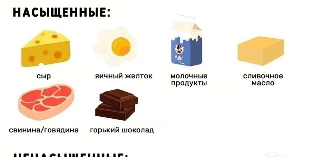 Что происходит с мозгом при постоянной нехватке жиров в рационе