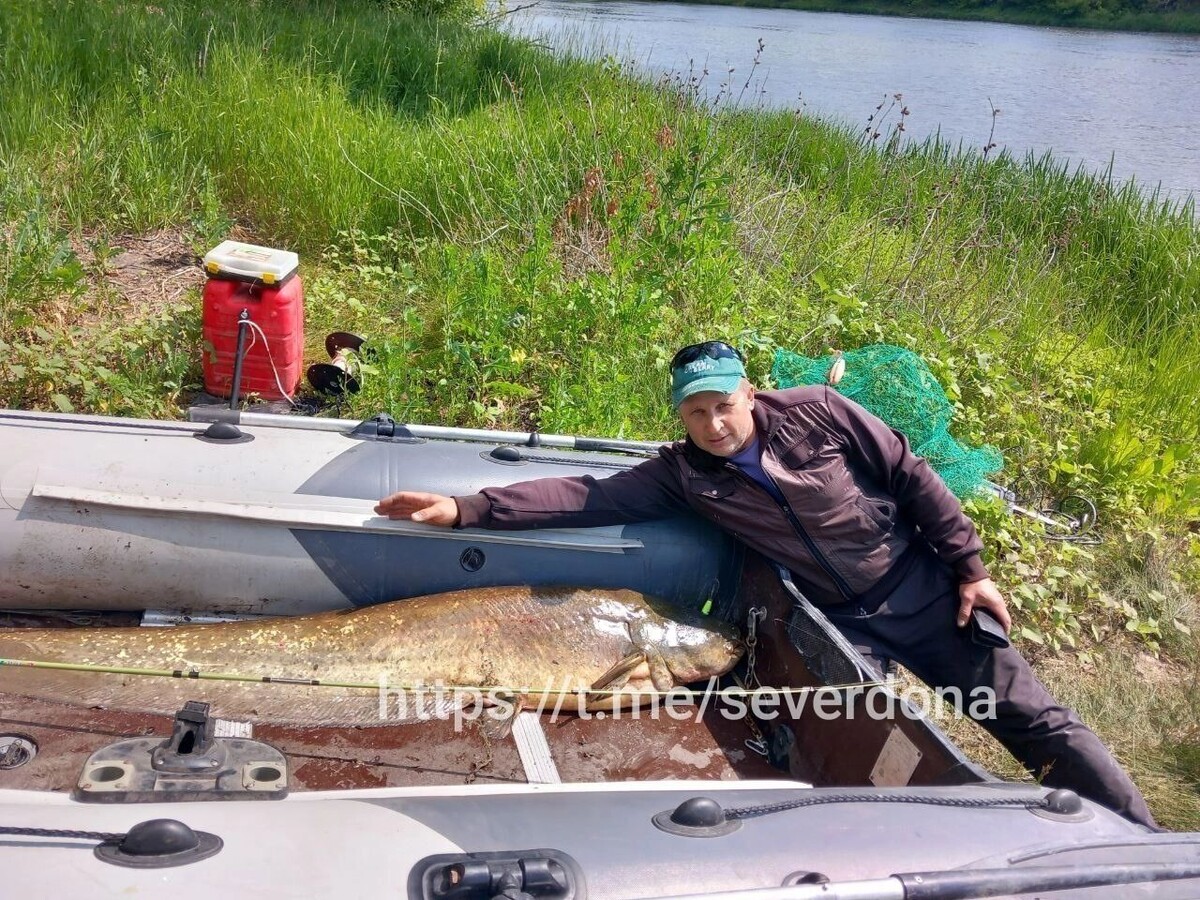     Автор: группе ВКонтакте «Север Дона»