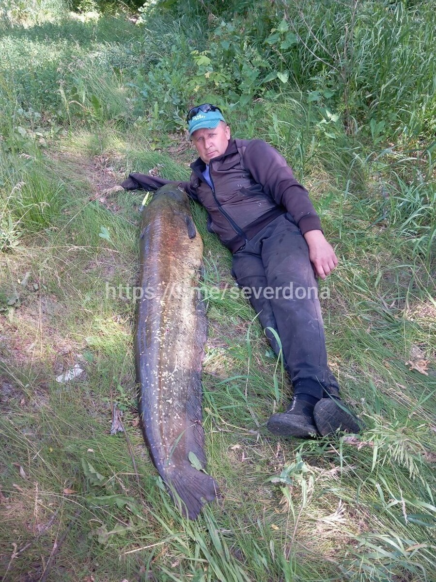     Автор: группе ВКонтакте «Север Дона»