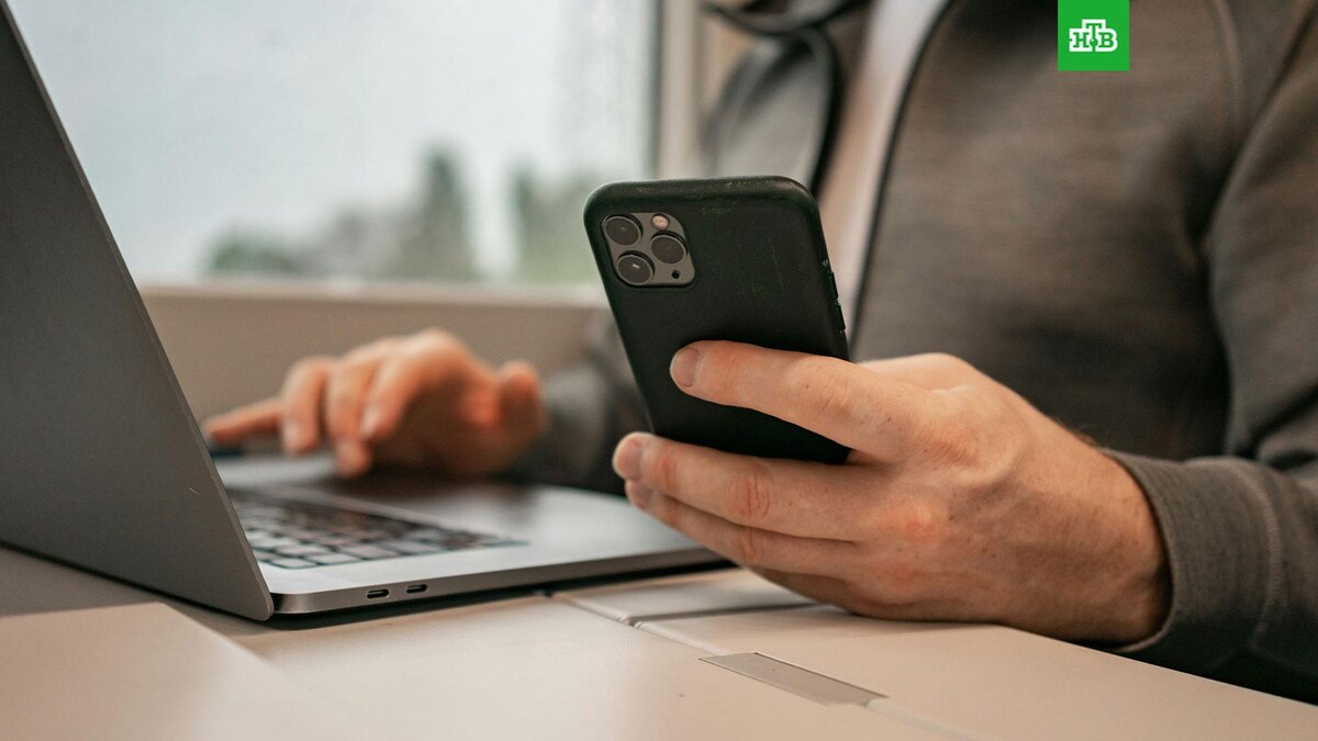    Фото: Anastasiia Nelen / unsplash.com