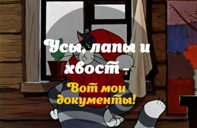 Картинка из интернета, для иллюстрации 