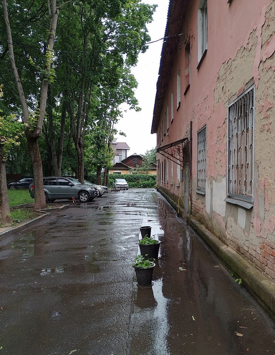 Фото автора.