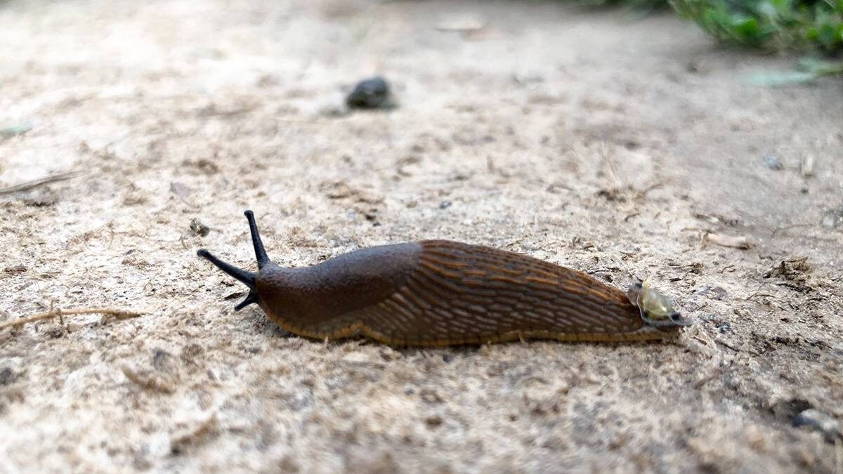    Фото: Василий Кузьмиченок / АГН Москва