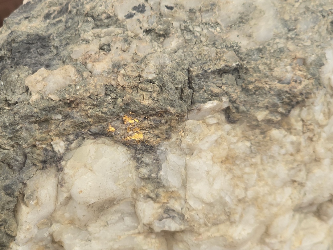 Золото самородное в кварц-карбонатной жиле. Архипелаг Северная Земля, остров Большевик