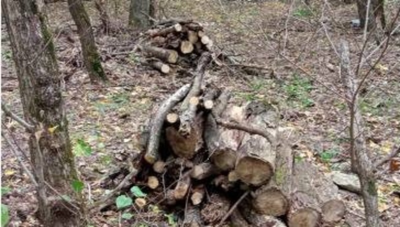      Фото: Пресс-служба минприроды СК