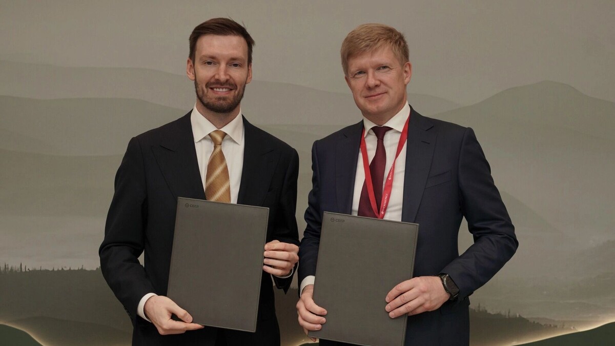     Источник: Сбер