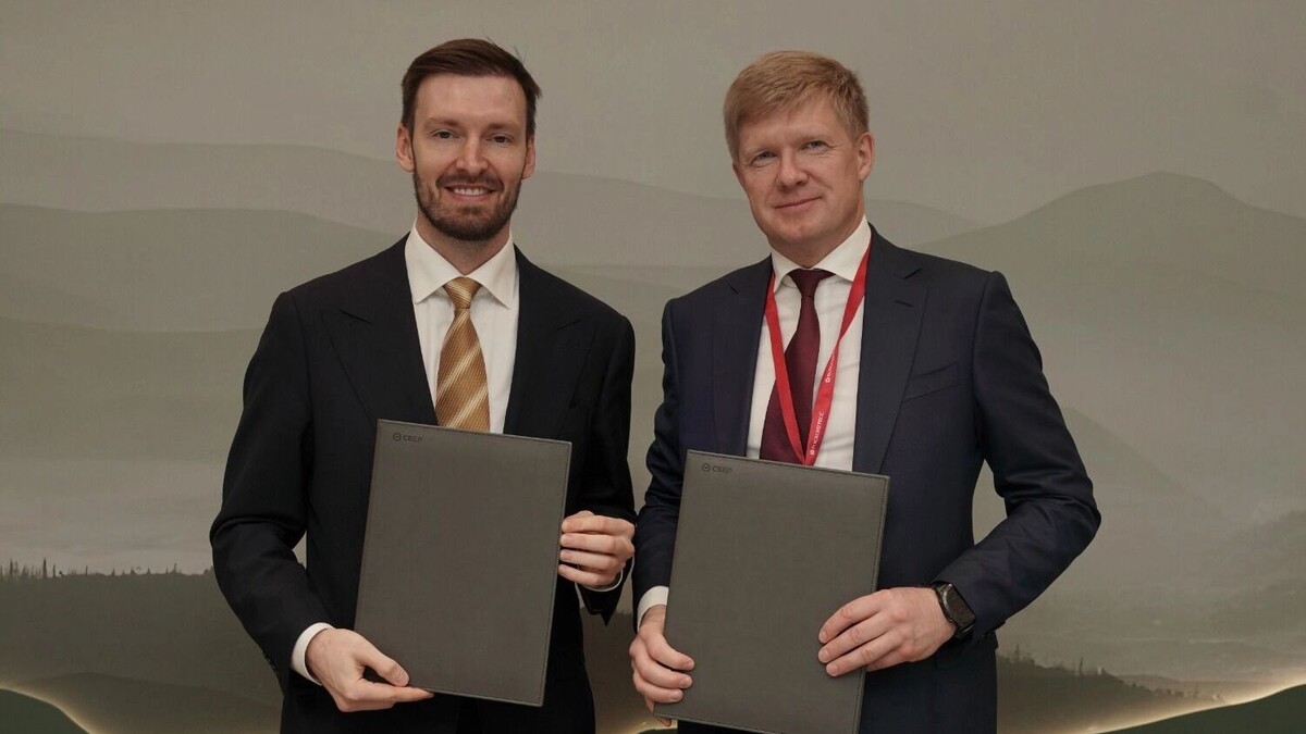     Источник: Сбер