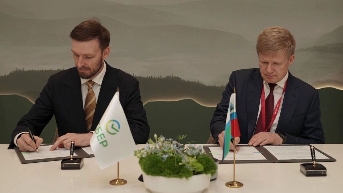     Источник: Сбер