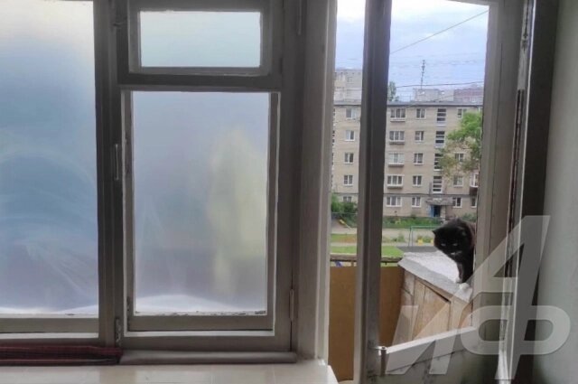    Фото: АиФ в Туле/ Алексей Мурат