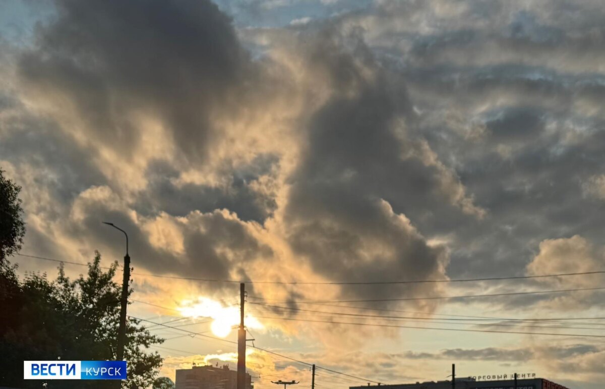    План на сегодняшний вечер в Курске: достать куртки