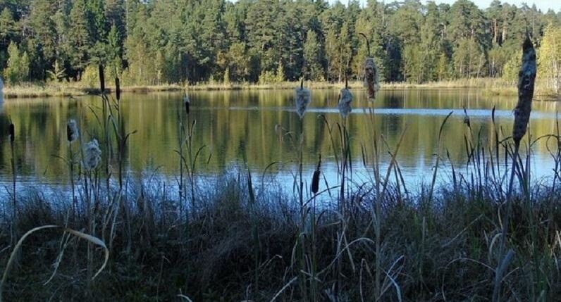    ПФ "Верховье"